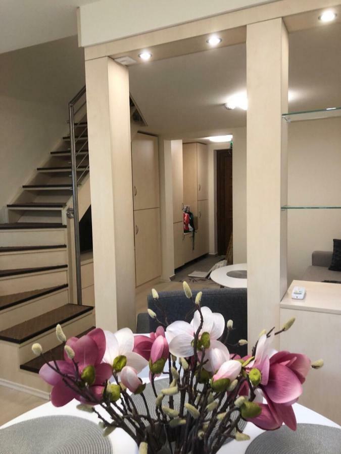Balatonfůzfő Beachfront Studio Apartman 아파트 호텔 외부 사진
